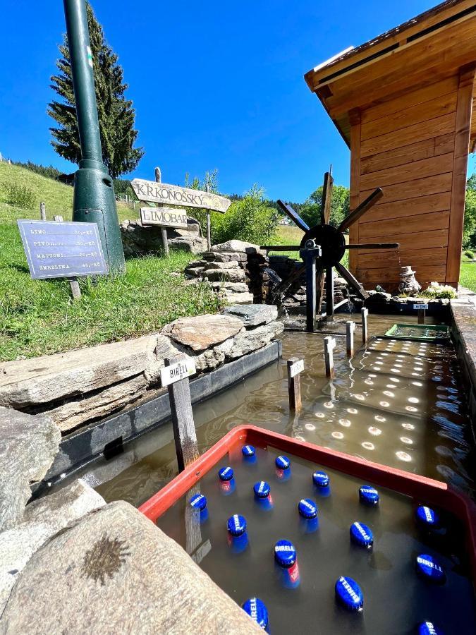 Apartamento Apartmán Labská 21 ve Špindlerově Mlýně Špindlerŭv Mlýn Exterior foto