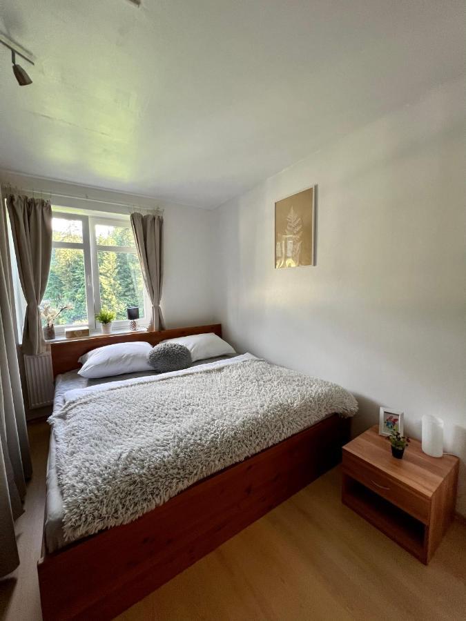 Apartamento Apartmán Labská 21 ve Špindlerově Mlýně Špindlerŭv Mlýn Exterior foto